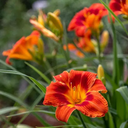 Haus Wegscheider Апартаменты *