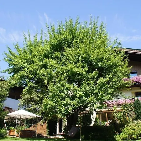 Haus Wegscheider Piesendorf