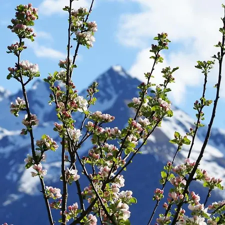 Haus Wegscheider Апартаменты