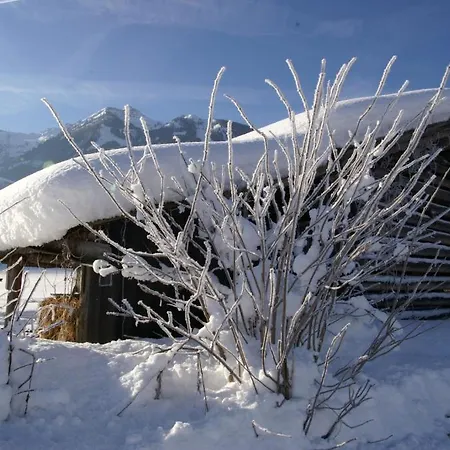 Haus Wegscheider Appartement