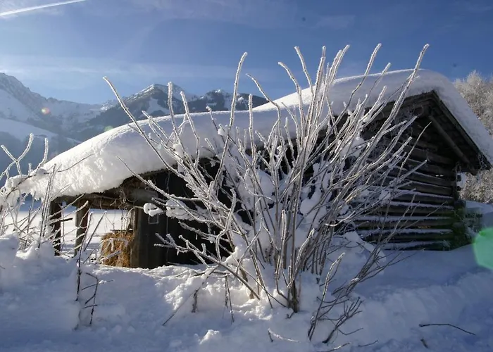 Haus Wegscheider Apartment